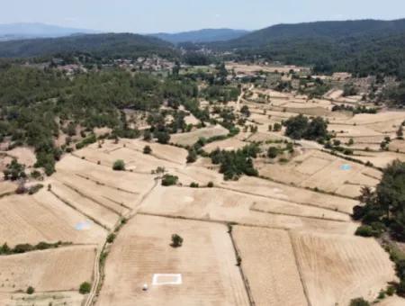 3031 M2 Freistehendes Feld Zu Verkaufen In Mugla Mentese Denizova