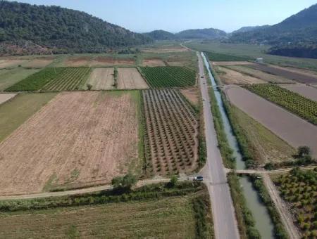 Für Verkauf Land Guzelyurt Ta Oriya, Schnäppchen 9726 M2