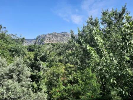 Aparthotel Auf 2000 M2 Grundstück Zum Verkauf In Mugla Dalyan