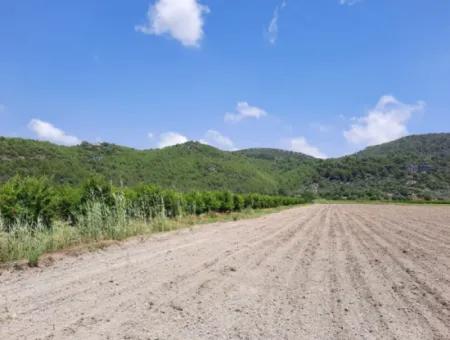 Fruchtbares Land Zu Vermieten In Ortaca Güzelyurt