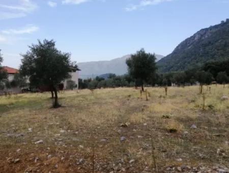 2788 M2 Feld Mit Seeblick Zu Verkaufen In Mugla Köyceğiz Zeytinalanı