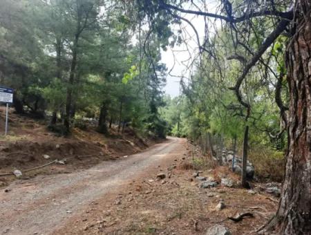 Mugla Dalyan Gökbel 320 M2 Schnäppchengrundstück Zum Verkauf