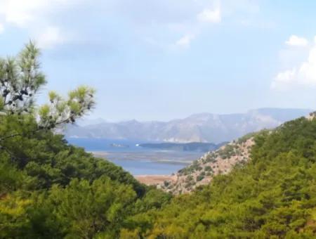 Mugla Dalyan Gökbel 320 M2 Schnäppchengrundstück Zum Verkauf