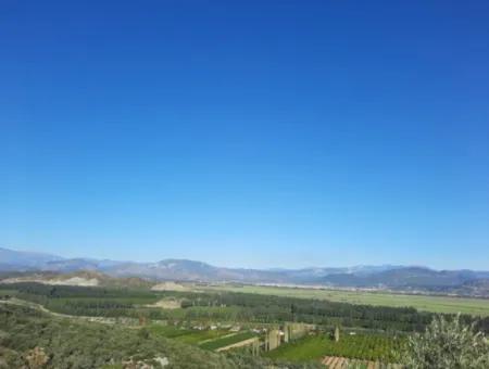 Olivenhain Mit Blick Auf Das Meer Und Die Natur In Ortaca Fevziye Zu Verkaufen