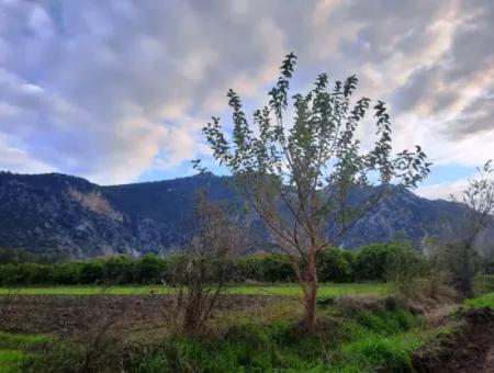 Mugla Dalyan 1100 M2 Land Mit Schnäppchenanteilen Geeignet Für Investitionen Zum Verkauf