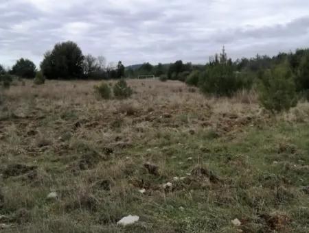 30949 M2 Fruchtbares Feld Zu Verkaufen In Mugla Dalaman Gürleyik