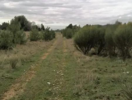 30949 M2 Fruchtbares Feld Zu Verkaufen In Mugla Dalaman Gürleyik