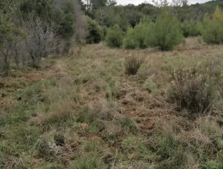 30949 M2 Fruchtbares Feld Zu Verkaufen In Mugla Dalaman Gürleyik