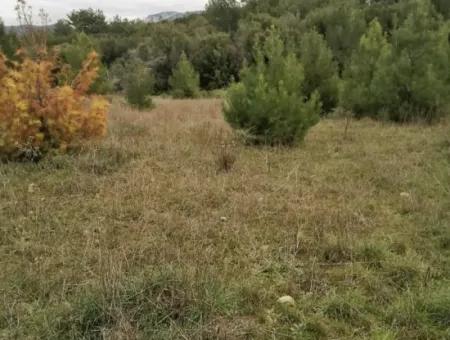 30949 M2 Fruchtbares Feld Zu Verkaufen In Mugla Dalaman Gürleyik