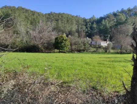 Mugla Ula Karabörtlen 2956 M2 Freistehendes Grundstück Zum Verkauf