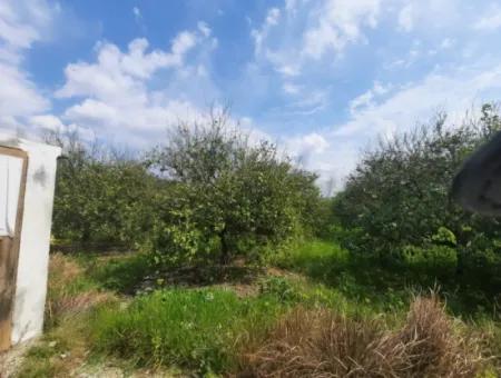 1703 M2 % 30/60 Zoning Land Zum Verkauf In Mugla Ortaca Zentrum