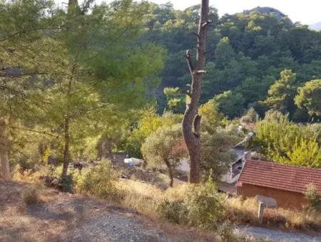 2 500 M2 Freistehendes Schnäppchengrundstück In Ortaca Gökbel Zu Verkaufen