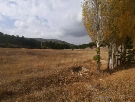 6 230 M2 Freistehendes Grundstück Zum Verkauf Oder Tausch An Der Alten Acıpayam-Straße In Çameli Cumanda