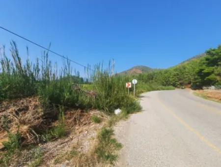 Muğla Ortaca Ekşiliyurt 8.000 M2 Fruchtbares Land Zum Verkauf