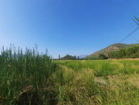Muğla Ortaca Ekşiliyurt 8.000 M2 Fruchtbares Land Zum Verkauf