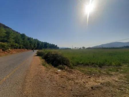 Muğla Ortaca Ekşiliyurt 8.000 M2 Fruchtbares Land Zum Verkauf