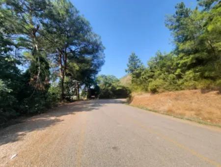 Muğla Ortaca Ekşiliyurt 8.000 M2 Fruchtbares Land Zum Verkauf
