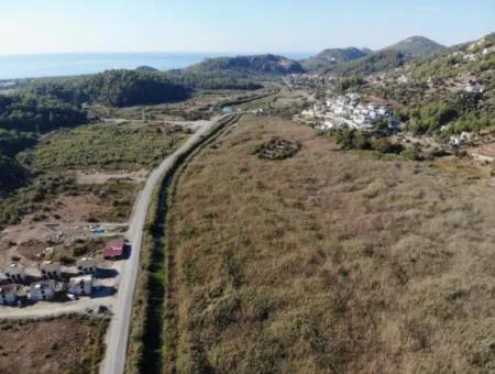 14300 M2 Grundstück Zum Verkauf In Muğla Ortaca Sarıgerme