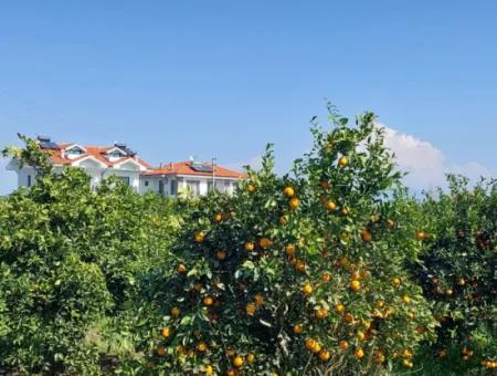 722 M2 Freistehendes Grundstück Zum Kauf In Dalyan, Muğla