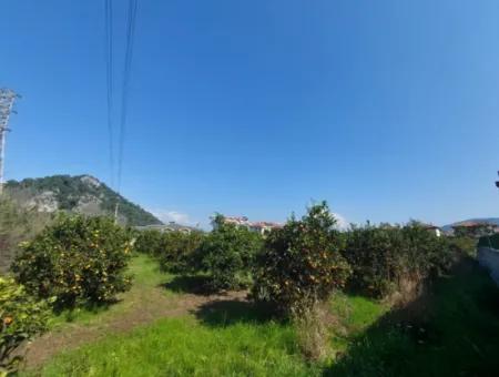 722 M2 Freistehendes Grundstück Zum Kauf In Dalyan, Muğla