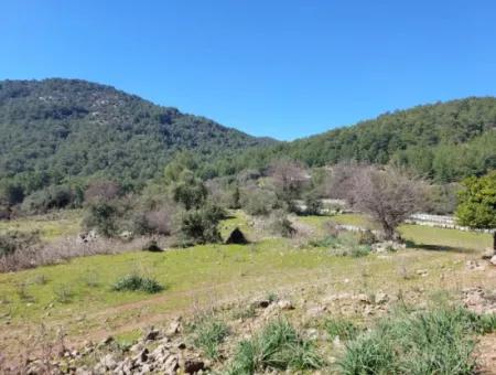 2 400 M2 Feld Zum Verkauf In Muğla Ortaca Gökbelde Natur