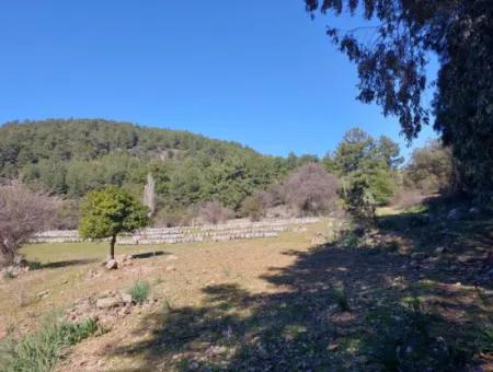 2 400 M2 Feld Zum Verkauf In Muğla Ortaca Gökbelde Natur