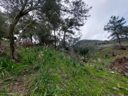 Ortaca Gökbelde Freistehende Natur Auf 626M2 Grundstück Zum Verkauf