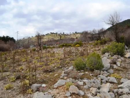 Fethiye, Nifte, 2 000 M2, Freistehend Zu Verkaufen, Schnäppchengrundstück