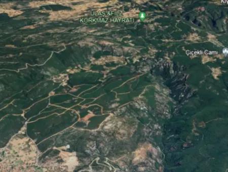 25 Hektar Land Im Wald In Muğla Ula Armutçuk Zu Verkaufen        