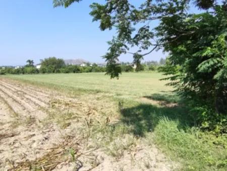 Rızai Taksimli 798 M2 Feld Zum Verkauf In Muğla Ortaca Fevziye Nachbarschaft