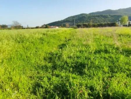 Rızai Taksimli 798 M2 Feld Zum Verkauf In Muğla Ortaca Fevziye Nachbarschaft