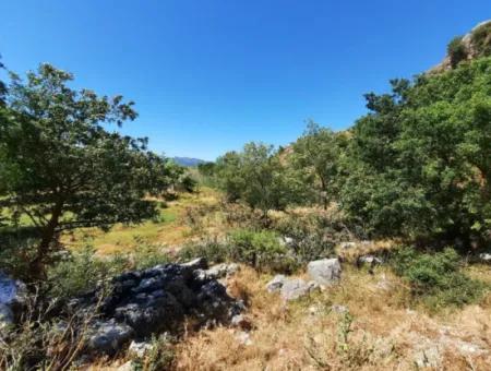 Muğla Ortaca Dalyanda Kanalfront 6 500 M2 Grundstück Mit Eigentumsurkunde Zum Verkauf