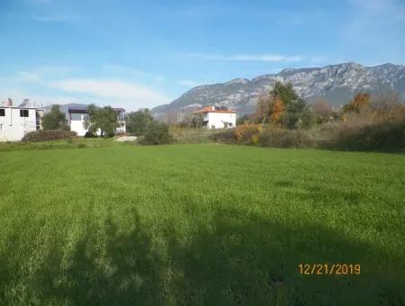 Land Zum Verkauf In Bargain Detached Zeytinalani