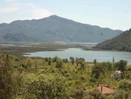 Dorfhaus Mit Seeblick Und Olivenhain Land Zum Verkauf In Köyceğiz Çandır, Muğla