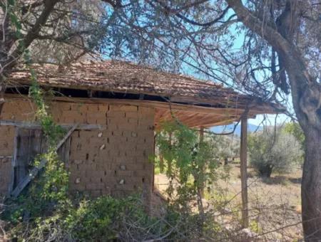 Dorfhaus Mit Seeblick Und Olivenhain Land Zum Verkauf In Köyceğiz Çandır, Muğla