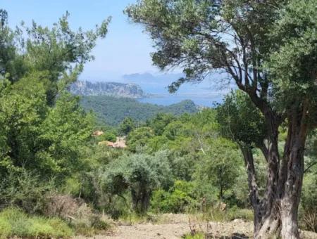 1.000 M² Investitionsgrundstück Mit See- Und Meerblick In Muğla Ortaca Gökbel Zu Verkaufen ????