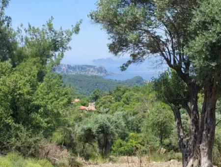 1.000 M² Investitionsgrundstück Mit See- Und Meerblick In Muğla Ortaca Gökbel Zu Verkaufen ????