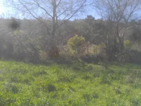 Land Zum Verkauf In Bargain Detached Zeytinalani