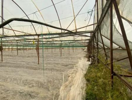 Einfamilienhaus Und Gewächshaus Zum Verkauf Auf Einem 5200 M2 Großen Feld In Ortaca Eskiköy