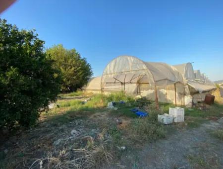 Einfamilienhaus Und Gewächshaus Zum Verkauf Auf Einem 5200 M2 Großen Feld In Ortaca Eskiköy