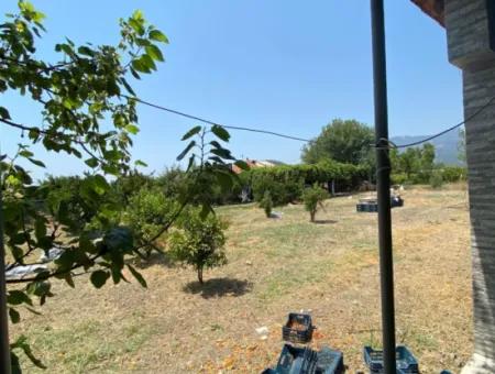 Einfamilienhaus Und Gewächshaus Zum Verkauf Auf Einem 5200 M2 Großen Feld In Ortaca Eskiköy