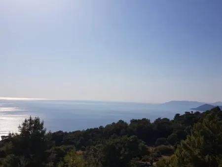 Tourismus-Zonen Grundstücke Zum Verkauf In Fethiye Mit Meerblick Faralya