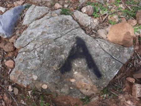 Das Besitzrecht An 3 100 M2 Treasury Land In Muğla Ortaca Dalyan Gökbel Wird Übertragen