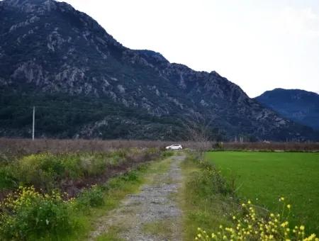 Freistehende Fruchtbare Schnäppchen Land Zum Verkauf In Ortaca Mergenli