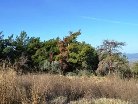 Wertvolle Waterfront Land Zum Verkauf In Tlos Fethiye Kragen