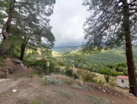 Muğla Köyceğiz Ağla - 535 M2 Grundstück Und Tiny House Haus Zum Verkauf Auf Dem Plateau
