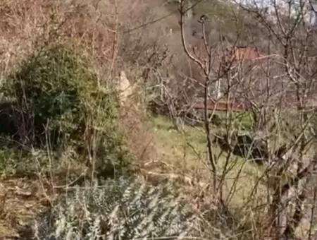 406 M2 Grundstück Zum Verkauf In Menteşe Zeytinköy 
