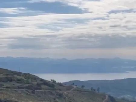 406 M2 Grundstück Zum Verkauf In Menteşe Zeytinköy 