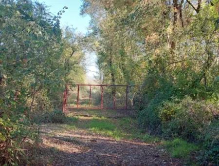 9 600 M2 Grundstück In Der Nähe Des Sees In Köyceğiz Toparlar Stehen Zum Verkauf