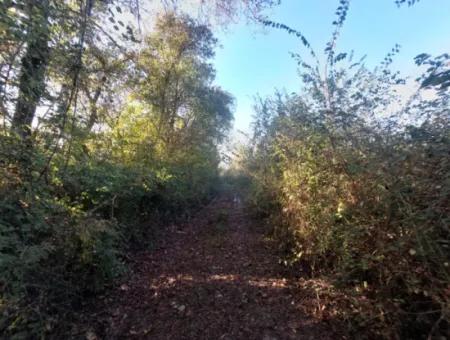 9 600 M2 Grundstück In Der Nähe Des Sees In Köyceğiz Toparlar Stehen Zum Verkauf